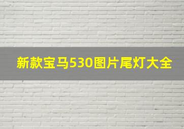 新款宝马530图片尾灯大全