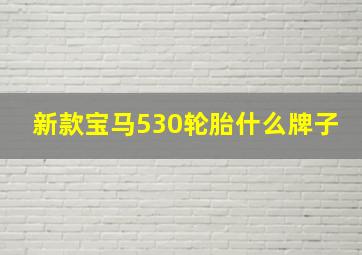 新款宝马530轮胎什么牌子