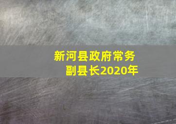 新河县政府常务副县长2020年