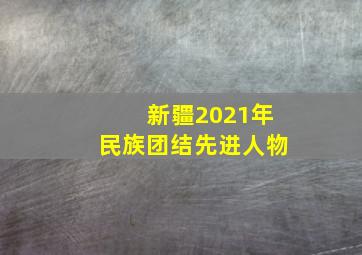 新疆2021年民族团结先进人物