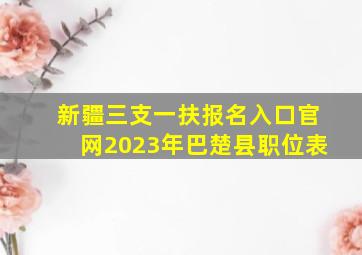 新疆三支一扶报名入口官网2023年巴楚县职位表