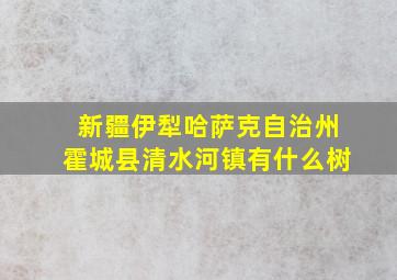 新疆伊犁哈萨克自治州霍城县清水河镇有什么树