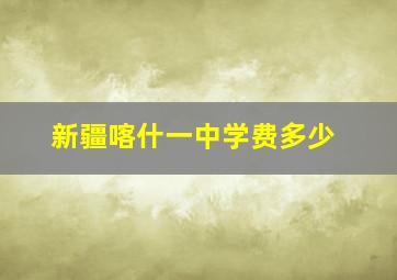 新疆喀什一中学费多少