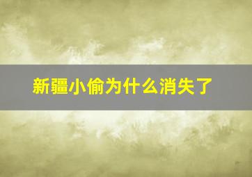 新疆小偷为什么消失了