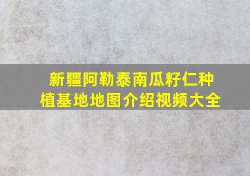 新疆阿勒泰南瓜籽仁种植基地地图介绍视频大全