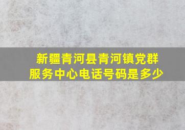 新疆青河县青河镇党群服务中心电话号码是多少