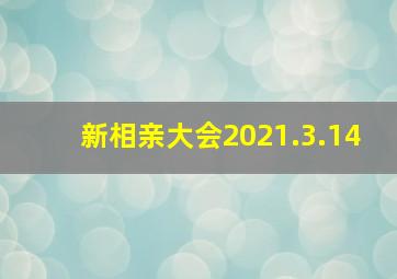 新相亲大会2021.3.14