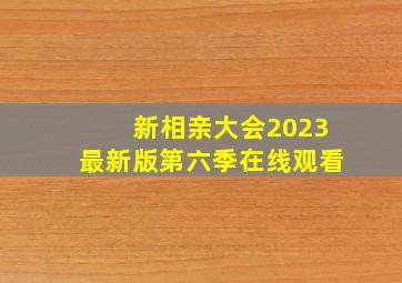 新相亲大会2023最新版第六季在线观看