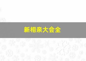 新相亲大会全