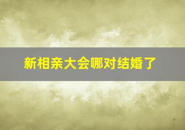 新相亲大会哪对结婚了