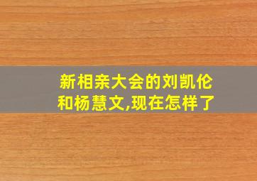 新相亲大会的刘凯伦和杨慧文,现在怎样了