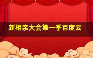 新相亲大会第一季百度云