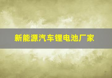 新能源汽车锂电池厂家