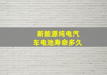 新能源纯电汽车电池寿命多久