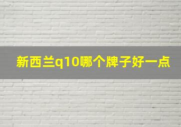 新西兰q10哪个牌子好一点