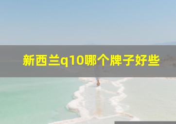 新西兰q10哪个牌子好些