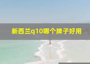 新西兰q10哪个牌子好用