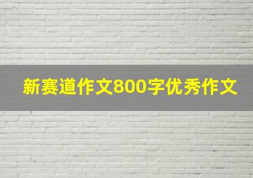 新赛道作文800字优秀作文