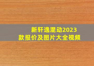 新轩逸混动2023款报价及图片大全视频