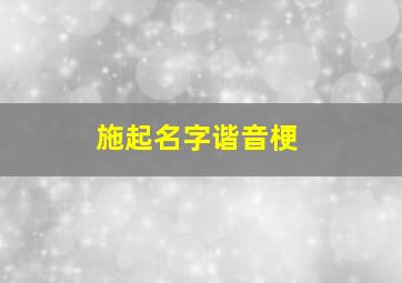 施起名字谐音梗