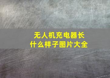 无人机充电器长什么样子图片大全