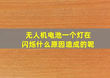 无人机电池一个灯在闪烁什么原因造成的呢