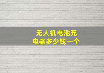 无人机电池充电器多少钱一个