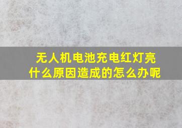 无人机电池充电红灯亮什么原因造成的怎么办呢