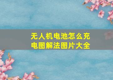 无人机电池怎么充电图解法图片大全