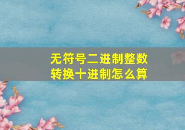 无符号二进制整数转换十进制怎么算