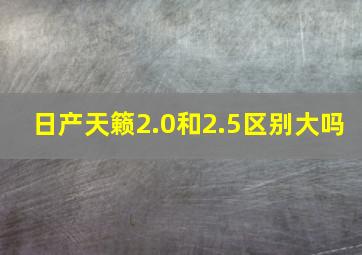 日产天籁2.0和2.5区别大吗