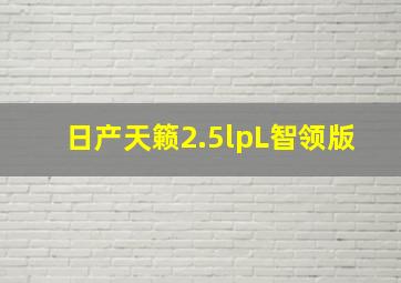 日产天籁2.5lpL智领版