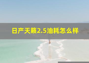 日产天籁2.5油耗怎么样