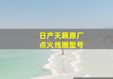 日产天籁原厂点火线圈型号