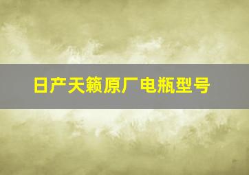 日产天籁原厂电瓶型号