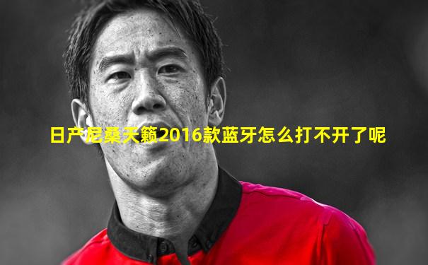 日产尼桑天籁2016款蓝牙怎么打不开了呢