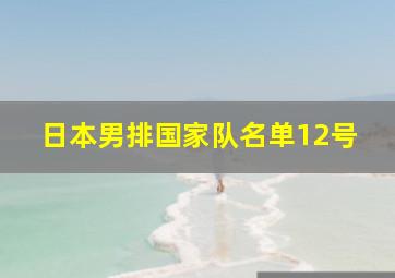 日本男排国家队名单12号