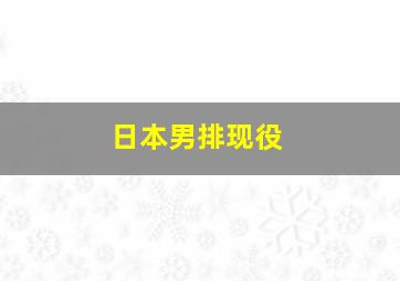 日本男排现役