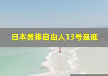 日本男排自由人13号是谁