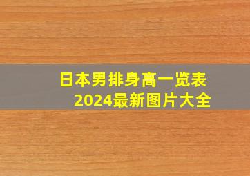 日本男排身高一览表2024最新图片大全