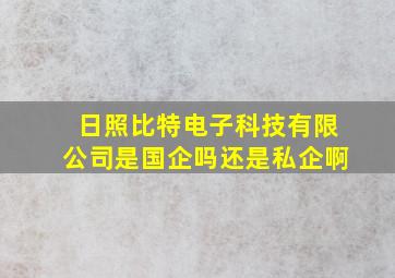 日照比特电子科技有限公司是国企吗还是私企啊