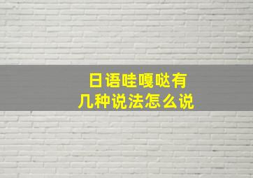 日语哇嘎哒有几种说法怎么说