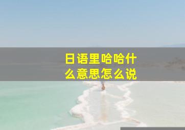 日语里哈哈什么意思怎么说