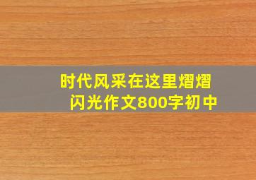 时代风采在这里熠熠闪光作文800字初中