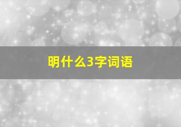 明什么3字词语