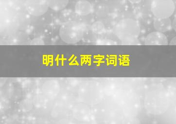 明什么两字词语