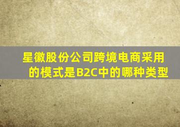 星徽股份公司跨境电商采用的模式是B2C中的哪种类型