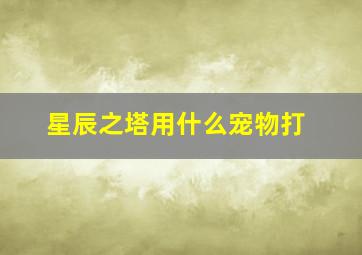 星辰之塔用什么宠物打