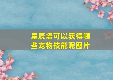 星辰塔可以获得哪些宠物技能呢图片