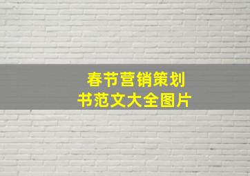 春节营销策划书范文大全图片